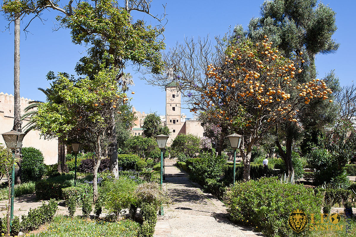 Image of Oudaias Museum and the Andalusian Gardens