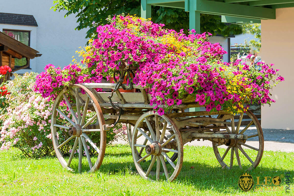 Wagon with flowers - festival Gentlemen’s day in Germany