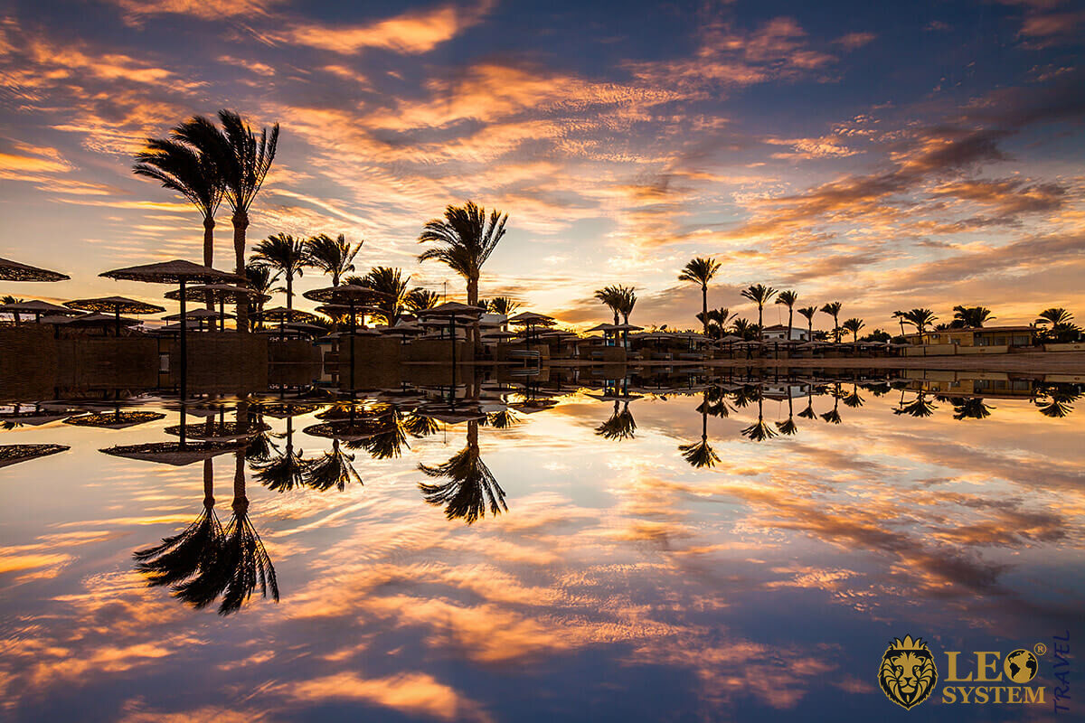 Beautiful view of the palm trees at the time of sunset, city of Hurghada