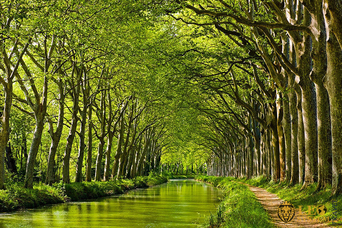 Image of a water canal and many green trees, Toulouse, France