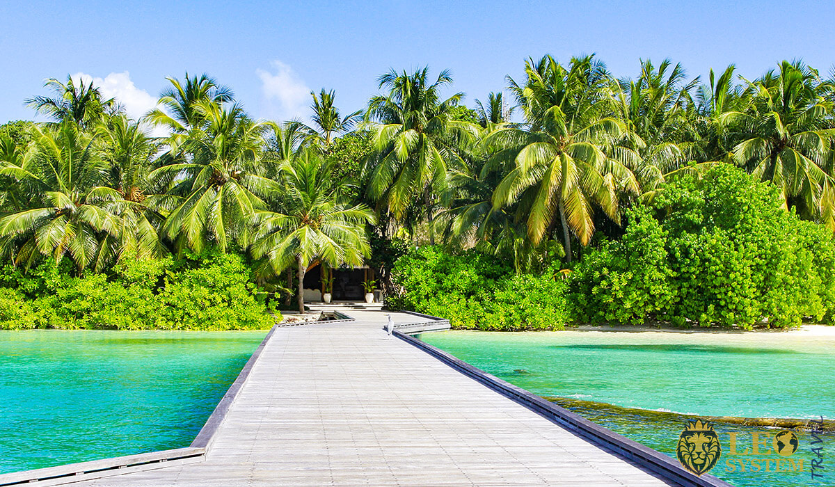 Image of palm trees and green plants, Kuramathi, Maldives