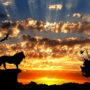 Image of a predatory Lion on the mountain at the time of sunset, Africa