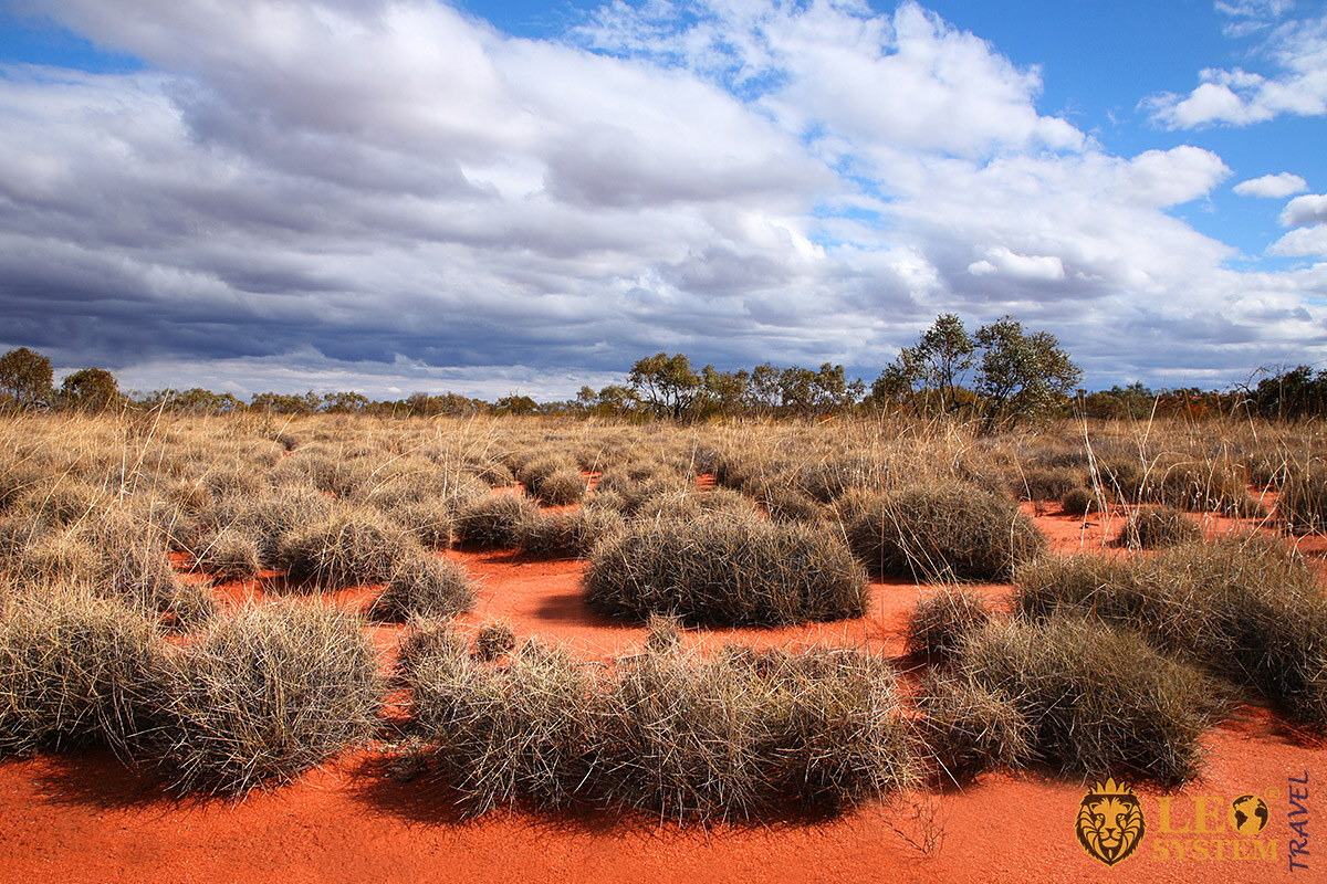View of The Great Victoria Desert, Australia