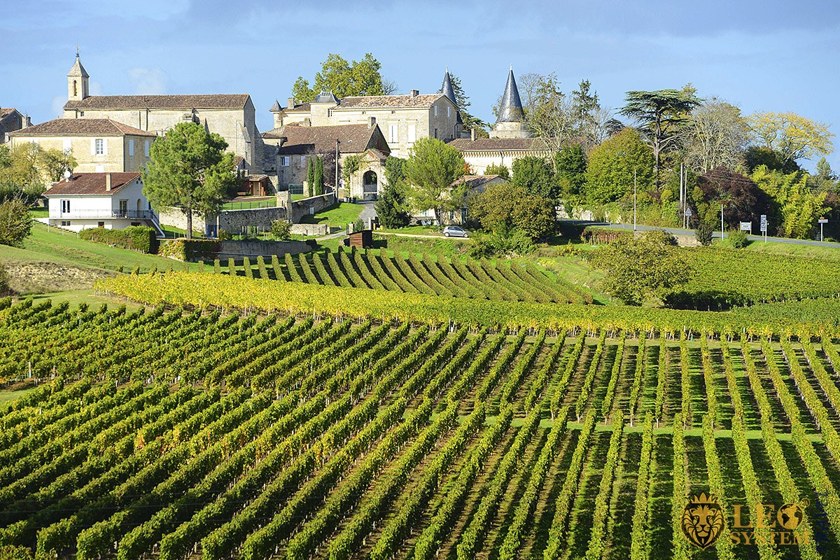 Image of fields with vineyards, Bordeaux, France