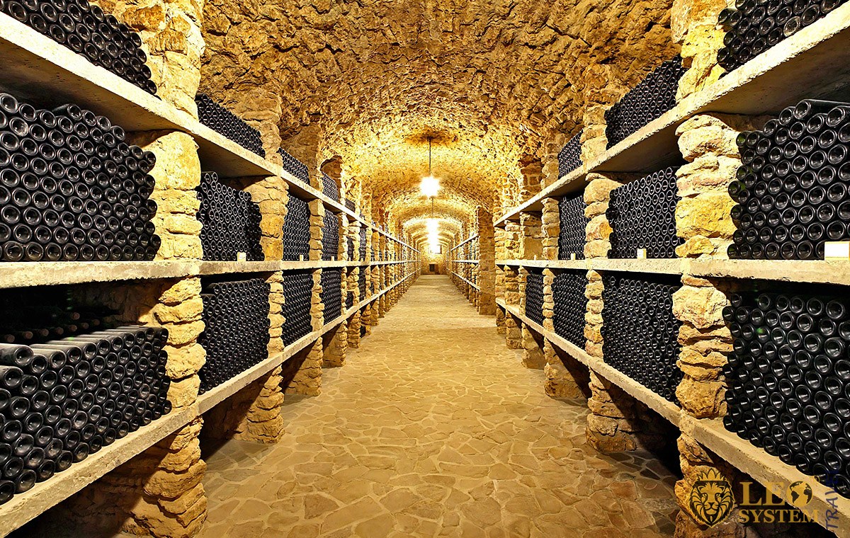Image of many bottles of wine in an old cellar, city of Bordeaux