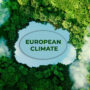 Aerial view of forest and green trees in Europe